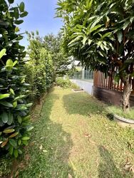 Chuan Garden (D19), Detached #615552761